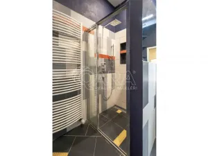 Prodej bytu 2+kk, Praha - Vinohrady, Jičínská, 67 m2