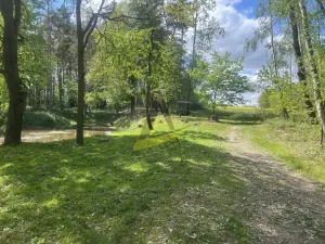 Prodej chaty, Ledenice - Růžov, 49 m2