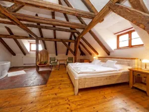 Prodej ubytování, Telč - Telč-Štěpnice, Slavatovská, 844 m2