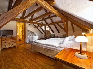 Prodej ubytování, Telč - Telč-Štěpnice, Slavatovská, 844 m2