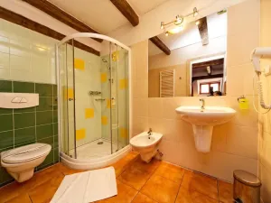 Prodej ubytování, Telč - Telč-Štěpnice, Slavatovská, 844 m2