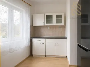 Prodej vícegeneračního domu, Ústí nad Labem, 190 m2