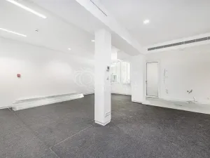 Pronájem obchodního prostoru, Praha - Žižkov, Jeseniova, 240 m2