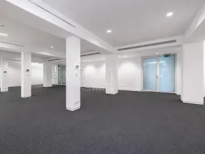Pronájem obchodního prostoru, Praha - Žižkov, Jeseniova, 240 m2