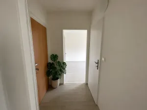 Pronájem bytu 1+1, Litvínov, Seifertova, 25 m2