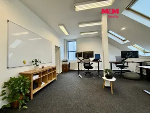 Pronájem kanceláře, Praha - Nusle, Nuselská, 47 m2