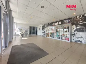 Pronájem skladu, Prostějov, Západní, 383 m2