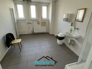 Pronájem výrobních prostor, Kroměříž, 1220 m2