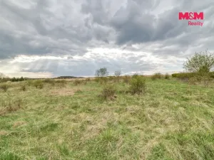 Prodej pozemku pro bydlení, Františkovy Lázně - Žírovice, 3247 m2