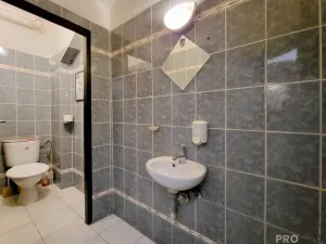 Pronájem obchodního prostoru, Praha, Petřínská, 135 m2