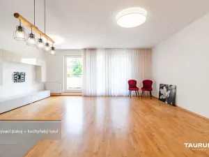 Pronájem bytu 3+kk, Plzeň - Severní Předměstí, Lidická, 86 m2