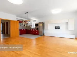 Pronájem bytu 3+kk, Plzeň - Severní Předměstí, Lidická, 89 m2