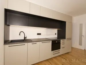 Pronájem bytu 2+kk, Praha - Nusle, Závišova, 42 m2