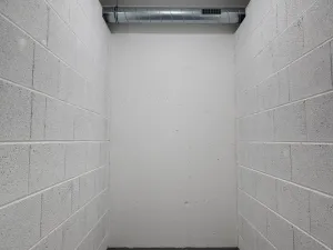 Pronájem bytu 2+kk, Praha - Nusle, Závišova, 42 m2