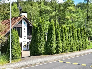 Prodej rodinného domu, Karlovy Vary, Slovenská, 149 m2