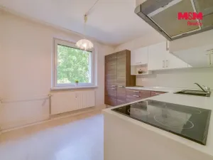Prodej bytu 3+1, Cheb, Dvořákova, 67 m2