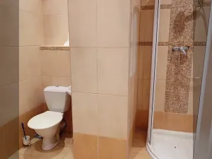 Prodej bytu 1+1, Praha - Kamýk, Zvolská, 35 m2
