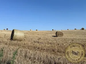 Prodej chaty, Kaliště, 48 m2