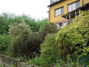Prodej chaty, Nedvědice, 81 m2