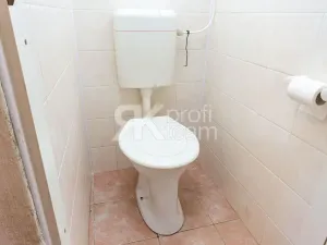 Prodej rodinného domu, Palkovice, 180 m2