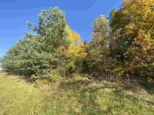 Prodej pole, Železný Brod - Střevelná, 2828 m2