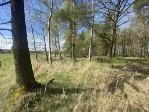 Prodej pozemku, Hranice, 1061 m2