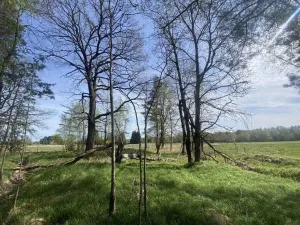 Prodej pozemku, Hranice, 1061 m2