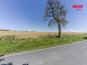 Prodej pole, Církvice, 11115 m2