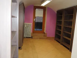 Pronájem obchodního prostoru, České Budějovice, 20 m2
