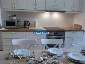 Pronájem bytu 4+1, Zlaté Hory, 170 m2