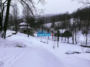 Pronájem chalupy, Zlaté Hory, 170 m2