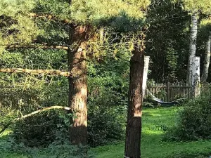 Prodej rodinného domu, Pila, 220 m2