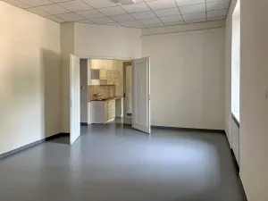 Pronájem obchodního prostoru, Brno, Štefánikova, 110 m2