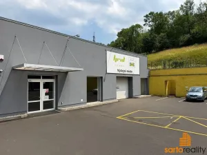 Pronájem skladu, Ústí nad Labem, Žižkova, 420 m2