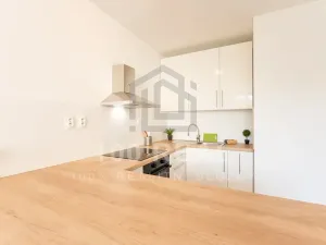 Pronájem bytu 1+kk, Hradec Králové, Selicharova, 30 m2