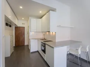 Pronájem bytu 1+kk, Praha - Karlín, Peckova, 34 m2