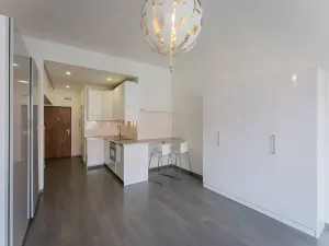 Pronájem bytu 1+kk, Praha - Karlín, Peckova, 34 m2