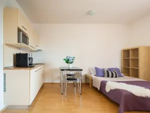 Pronájem bytu 1+kk, Brno, Božetěchova, 32 m2
