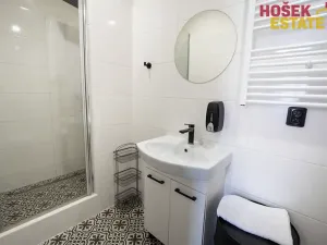 Prodej bytu 1+kk, Dolní Dunajovice, Hlavní, 18 m2