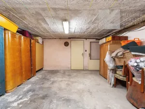Prodej rodinného domu, Březí, Mládežnická, 230 m2