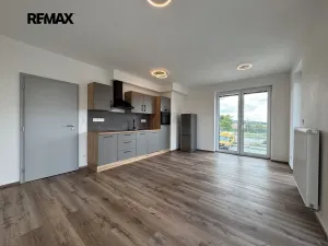 Pronájem bytu 1+kk, Dobřany, Denksteinova, 38 m2