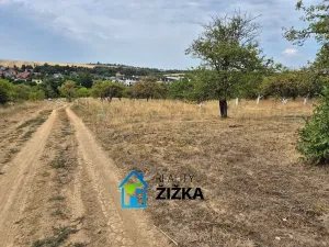Prodej zahrady, Želešice, 870 m2