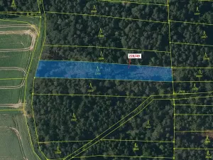Dražba lesa, Břežany, 2070 m2