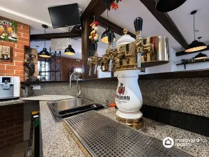 Prodej ubytování, Jevišovka, 241 m2