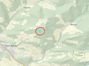 Dražba lesa, Horní Bečva, 4284 m2