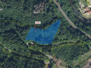 Dražba lesa, Držkov, 3360 m2