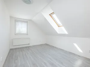 Prodej vícegeneračního domu, Mladá Boleslav, Viničná, 266 m2