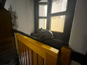 Prodej vícegeneračního domu, Morávka, 500 m2