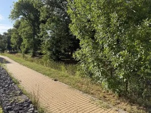 Pronájem bytu 3+kk, Hradec Králové, Rybova, 89 m2