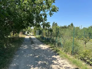 Prodej zahrady, Staré Město, 359 m2